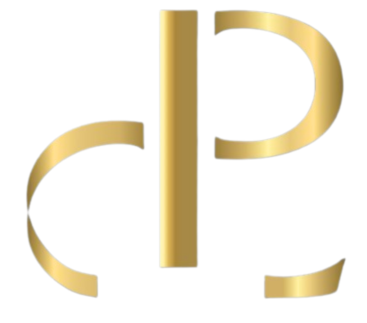 D&P Professional LLC